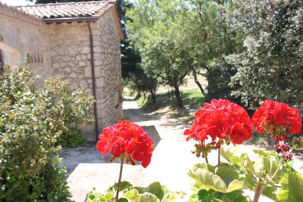Villa Il Vallone Di Melezzole Extérieur photo